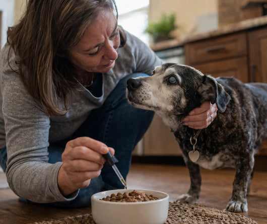 Dog Vision Supplement Drops